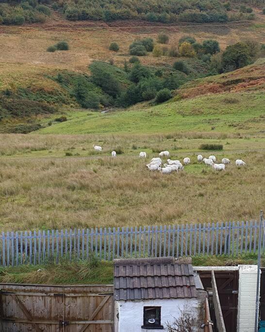 Welsh Miners Cottage Four Bedroom House Treherbert Luaran gambar