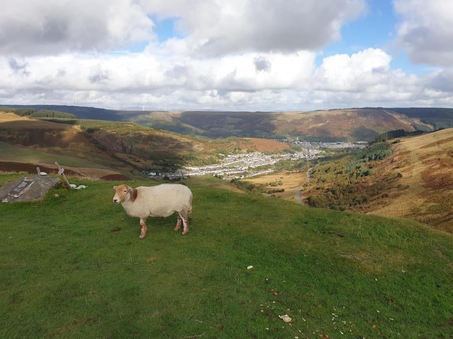 Welsh Miners Cottage Four Bedroom House Treherbert Luaran gambar